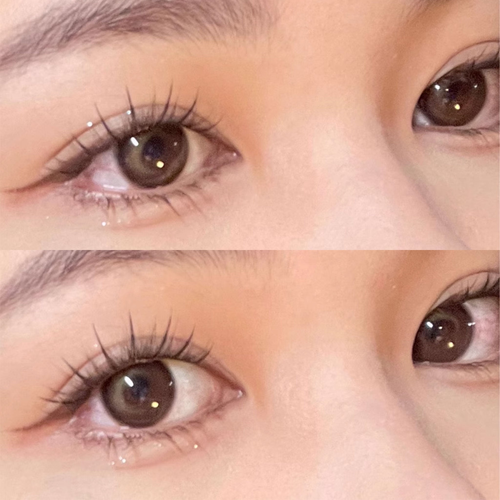 MJSP Segmented Eyelash Mixed Pack