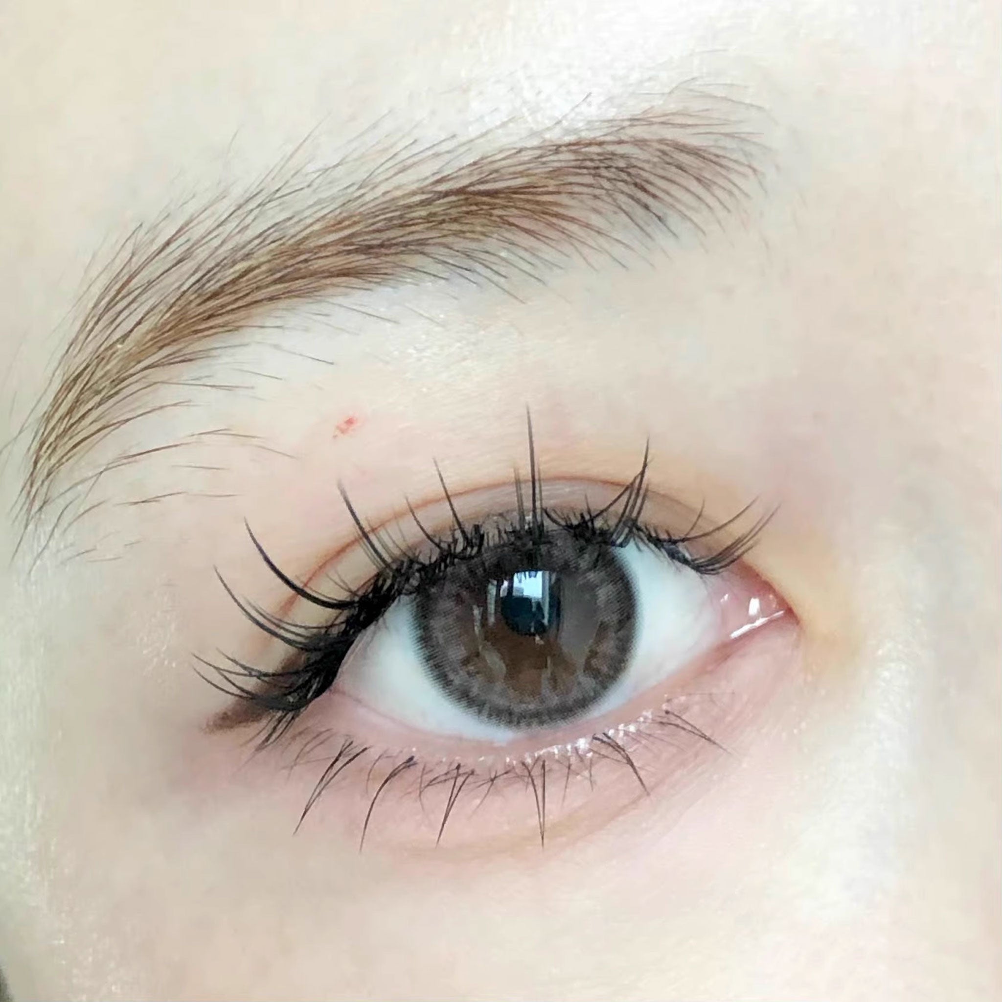 MJSP V-Type Segmented Lower Eyelash Mixed Pack