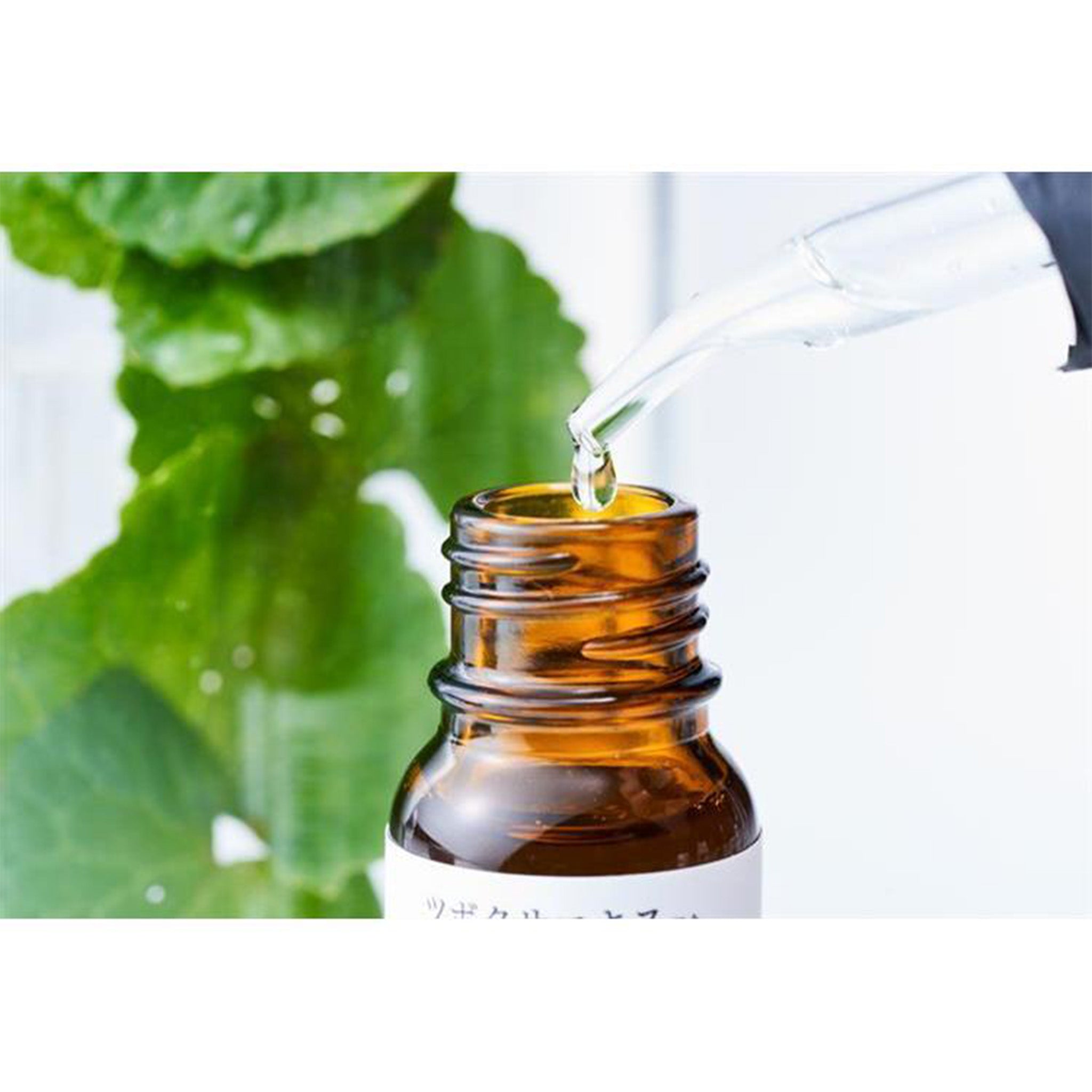 Tunemakers Centella Asiatica Extract Serum 10ml