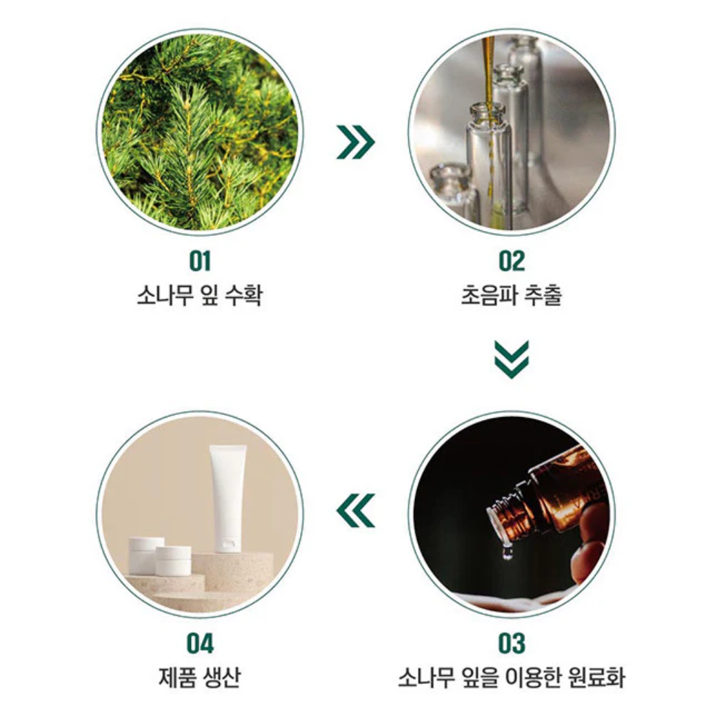 ROUND LAB Pine Tree Calming Cica Lotion 250ml