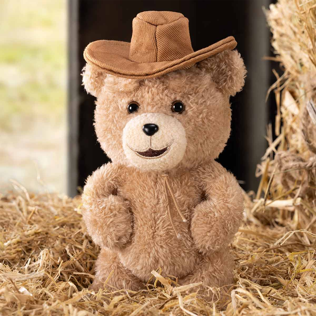 POP MART Ted2 Teddy Bear Action Plush Pendant Blind Box