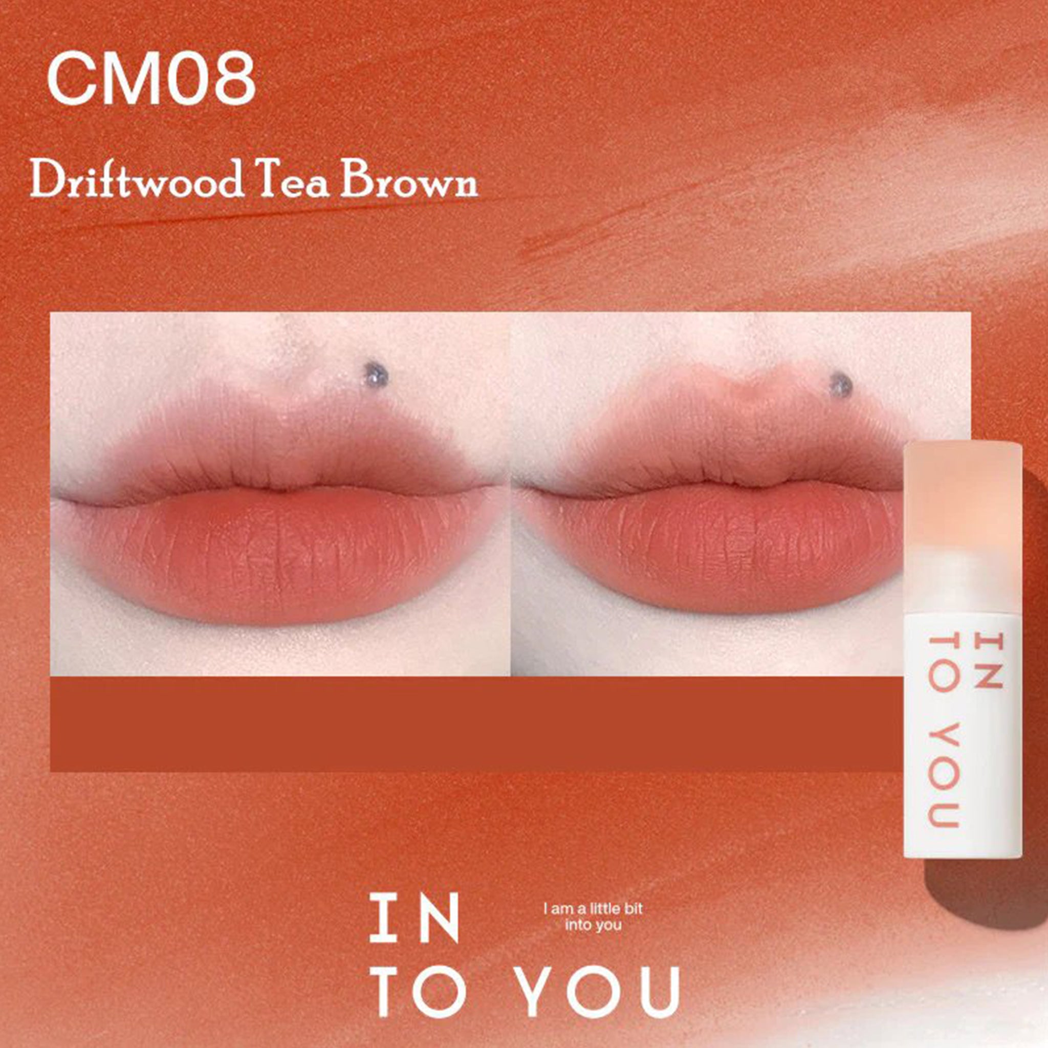 INTO YOU Cloudy Lip Mud