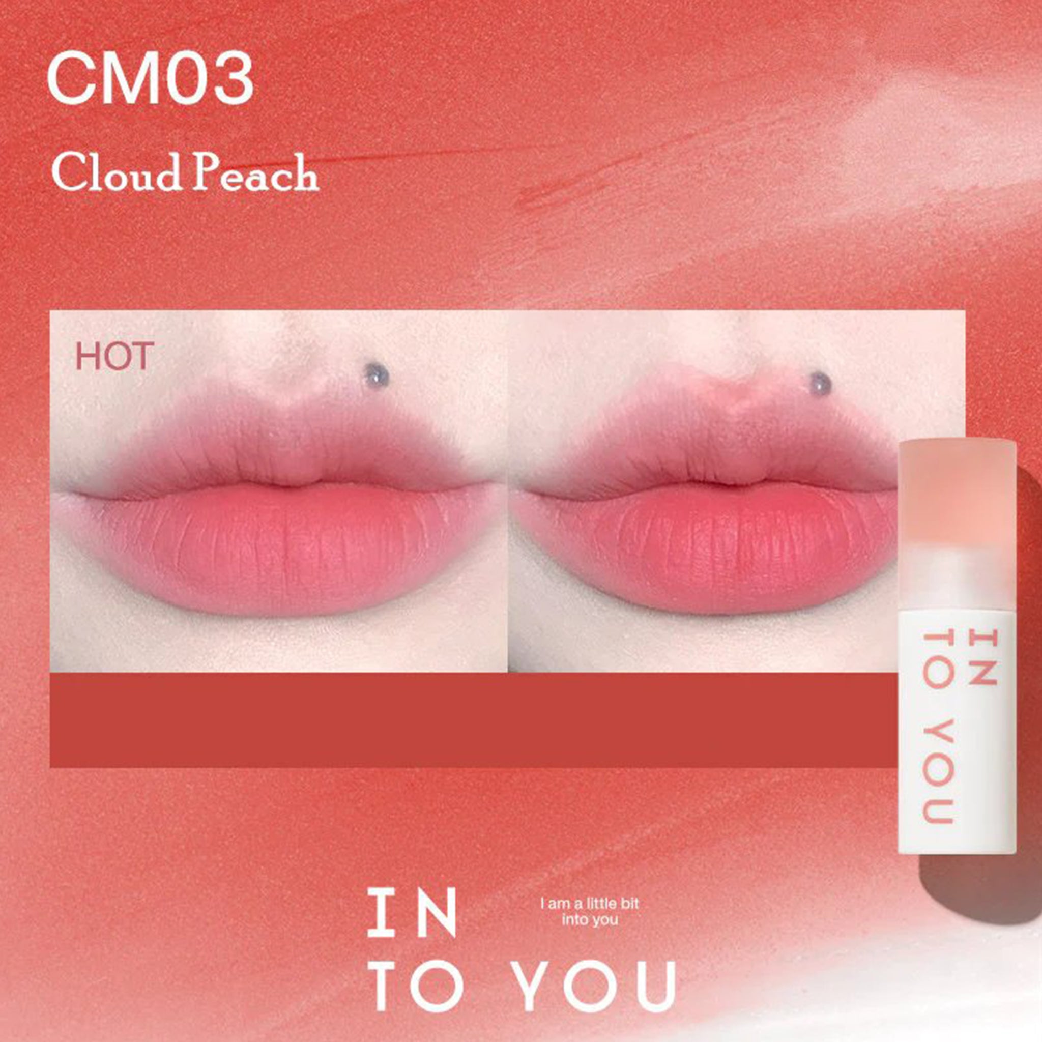 INTO YOU Cloudy Lip Mud