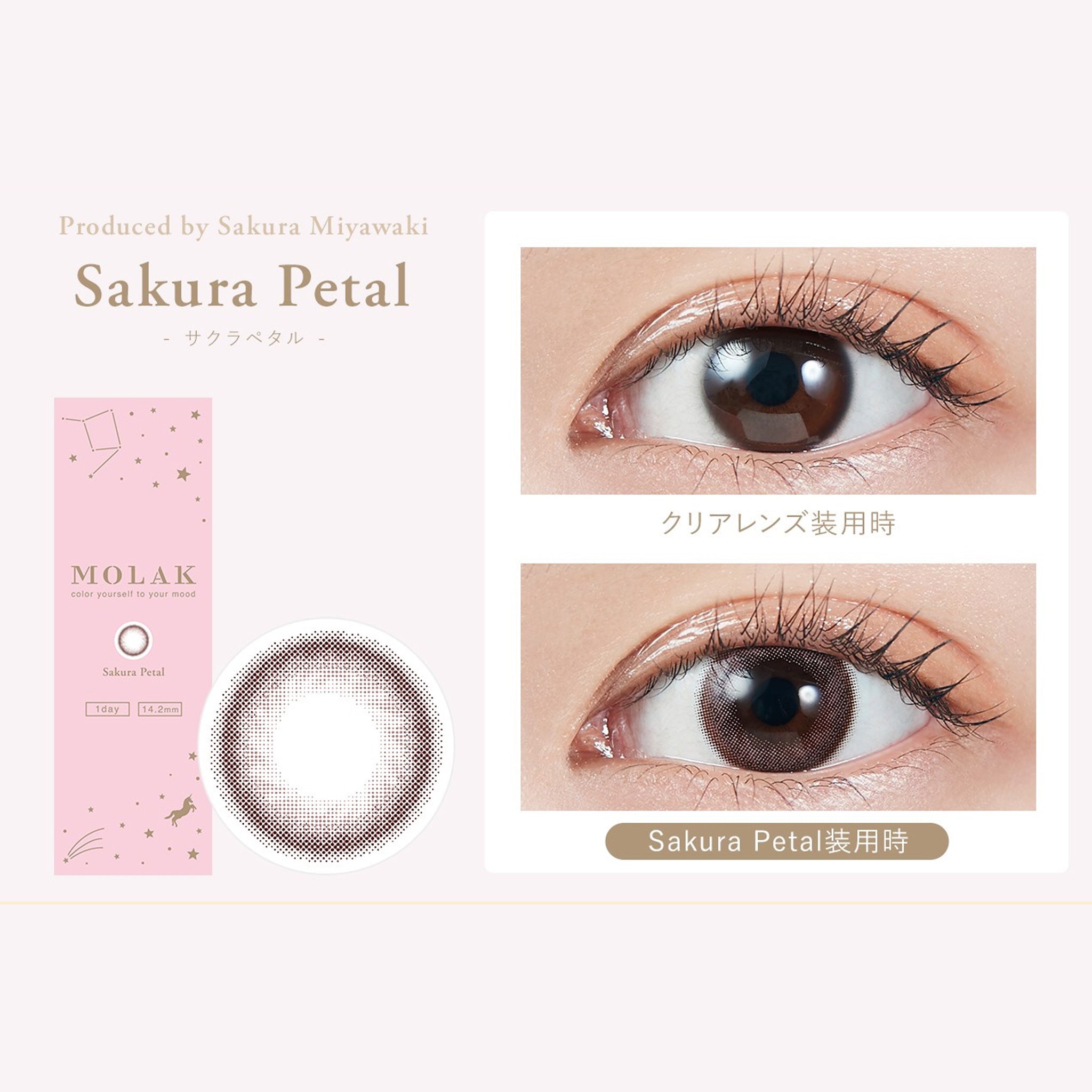 MOLAK 日抛美瞳 Sakura Petal 10片