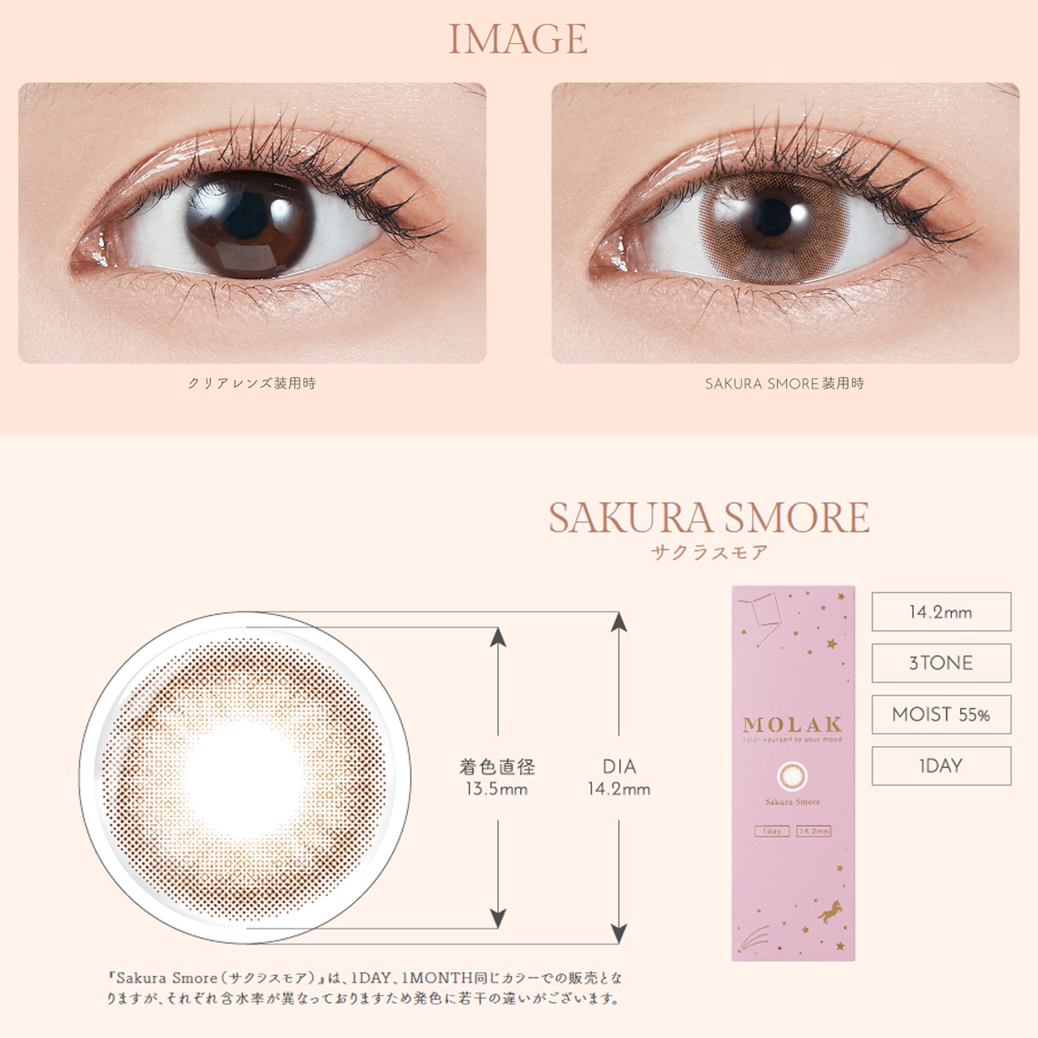 MOLAK 1Day Contact Lenses-Sakura Smore 10pcs