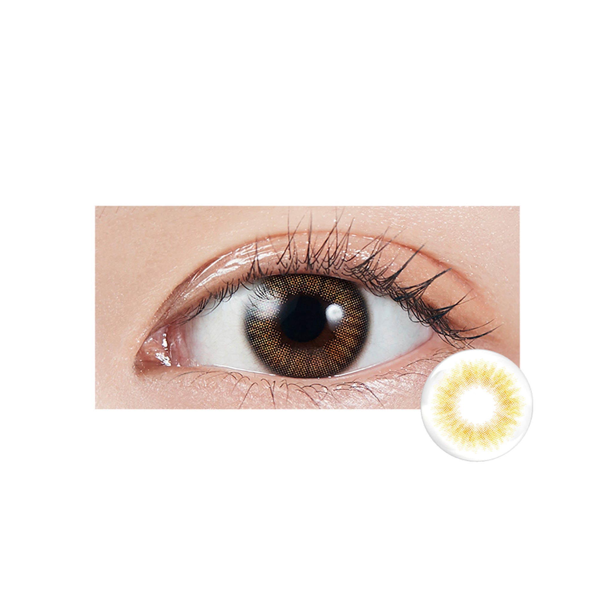 MOLAK 1Day Contact Lenses-Coral Brown 10pcs