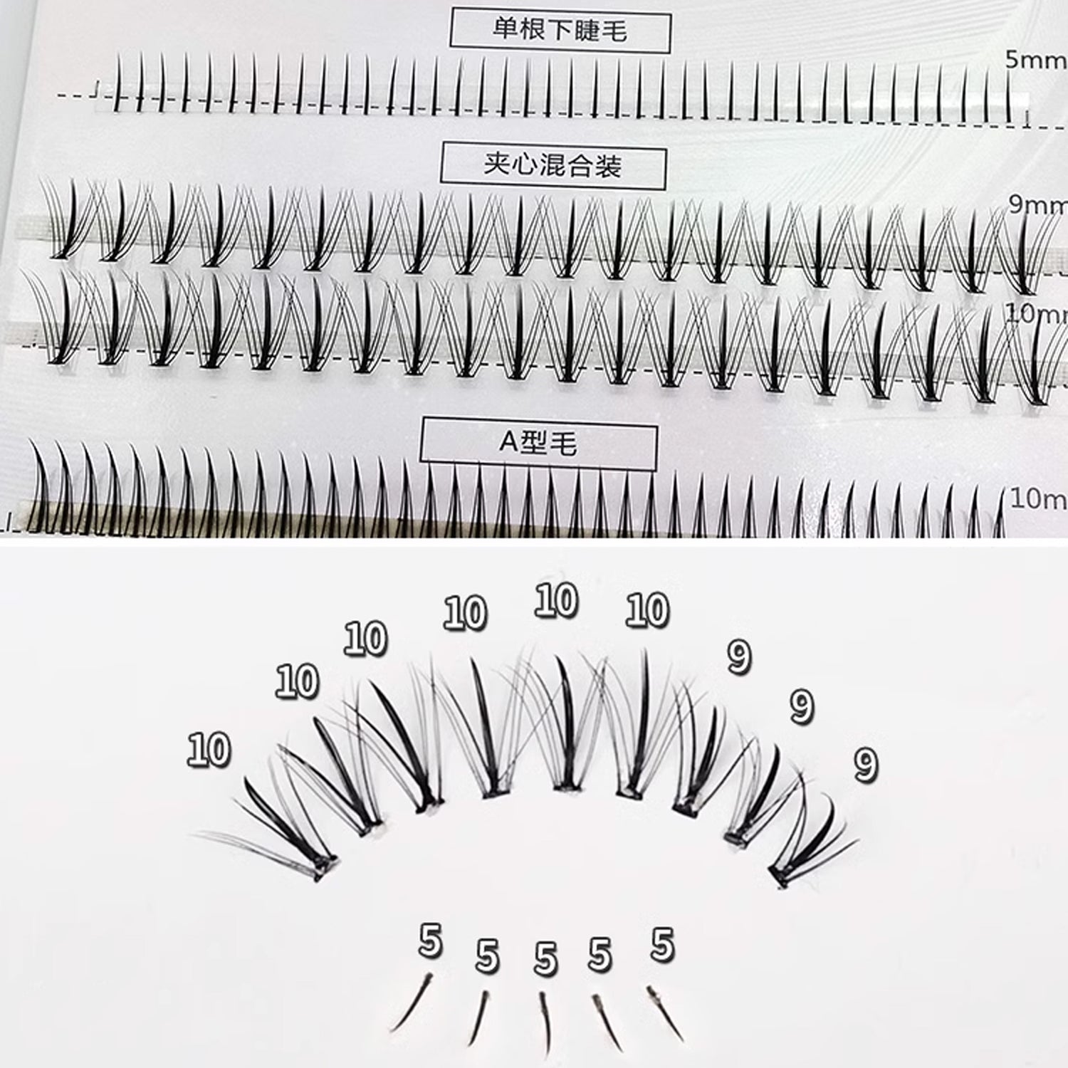 MJSP Multi Eyelash Combo