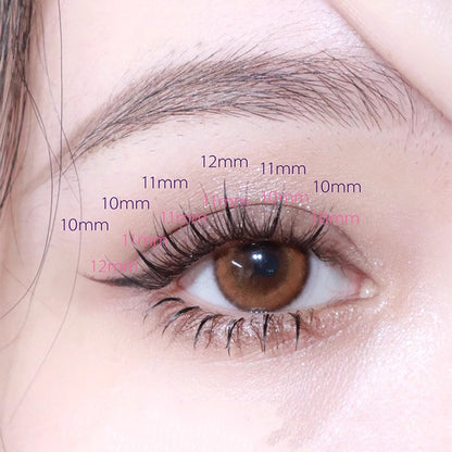 MJSP A-Type Segmented Eyelash