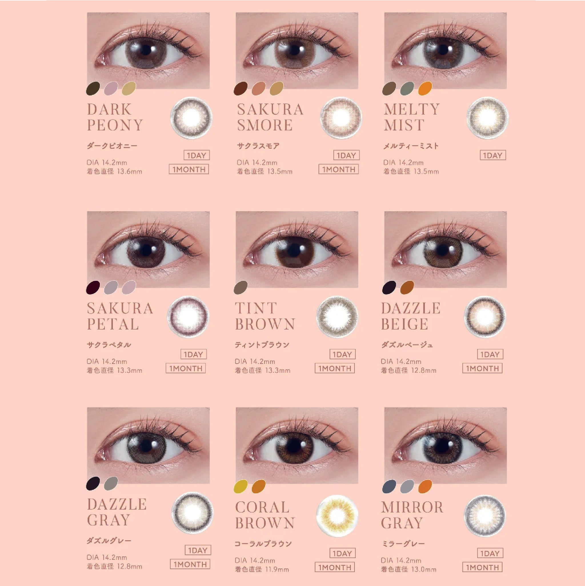 MOLAK 1Day Contact Lenses-Mirror Gray 10pcs