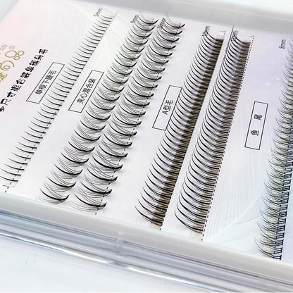 MJSP Multi Eyelash Combo