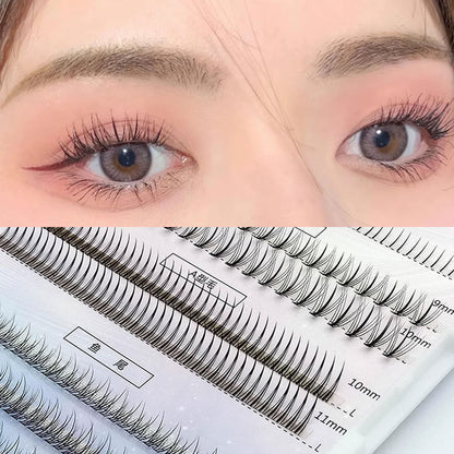 MJSP Multi Eyelash Combo