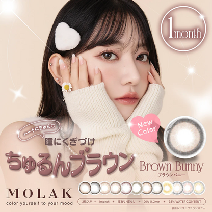 MOLAK 1Month 彩色隐形眼镜-棕色兔子 2 片