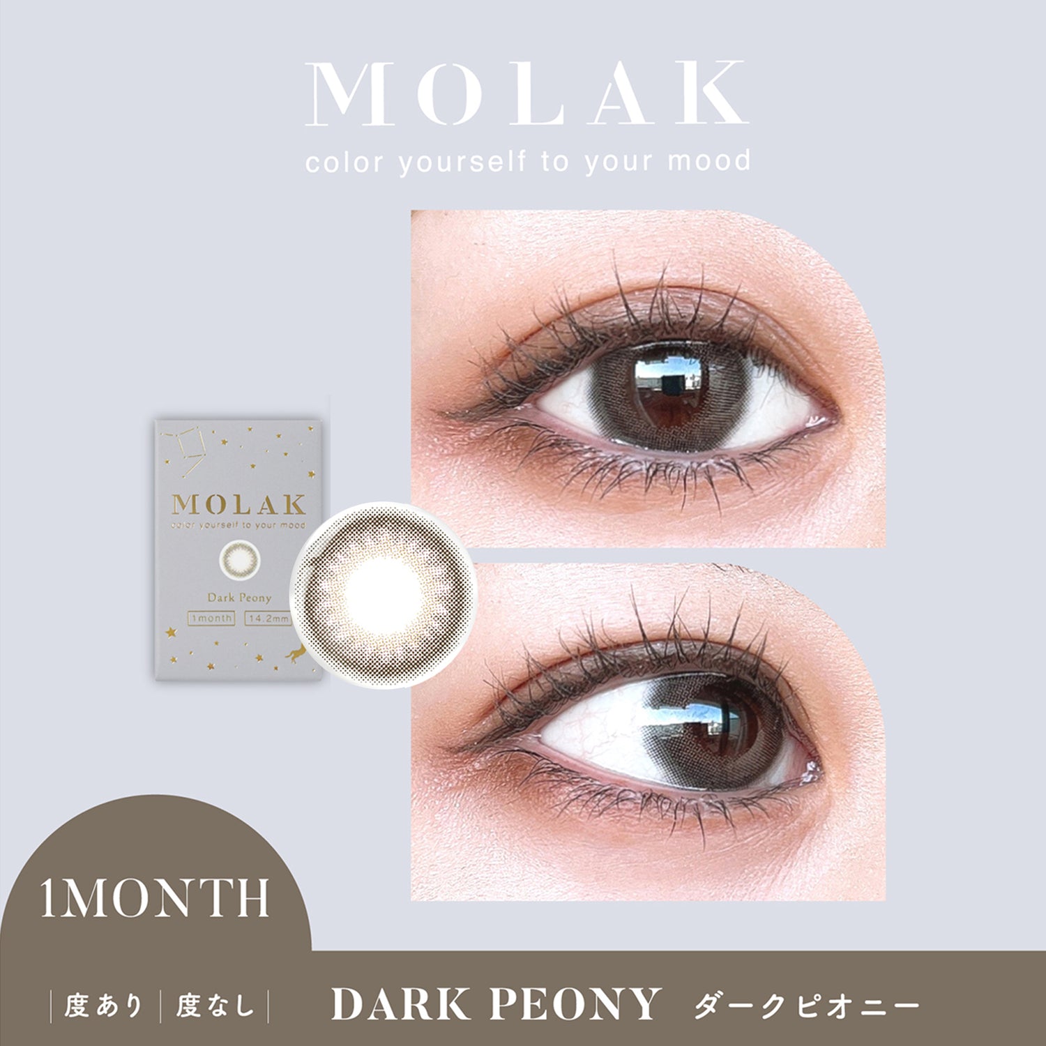 MOLAK 月抛美瞳 Dark Peony 2片