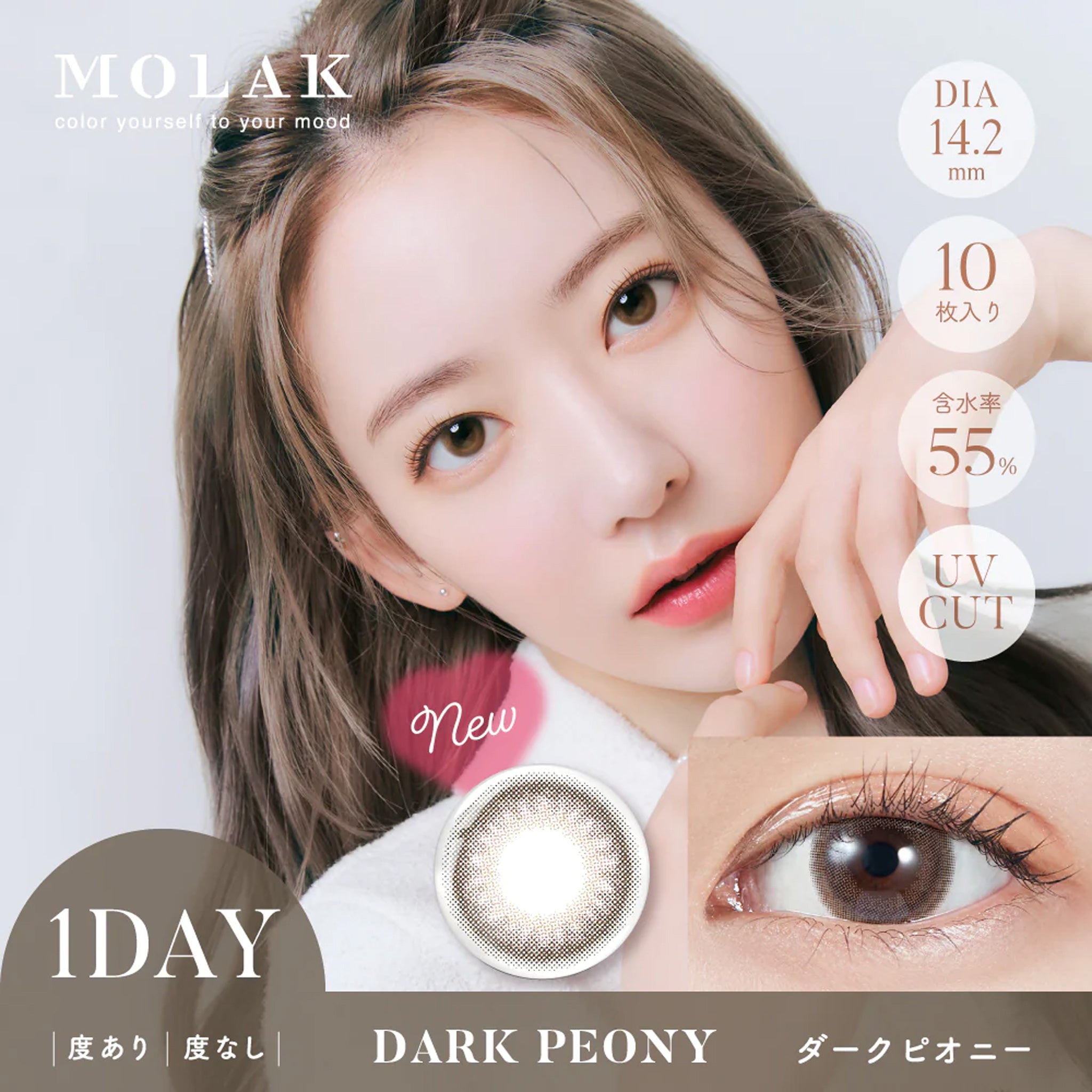 MOLAK 日抛美瞳 Dark Peony 10片