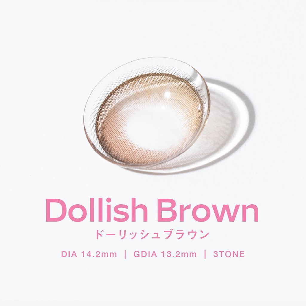 MOLAK 1Day Contact Lenses-Dollish Brown 10pcs