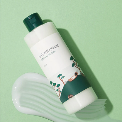 ROUND LAB Pine Tree Calming Cica lotion 250ml