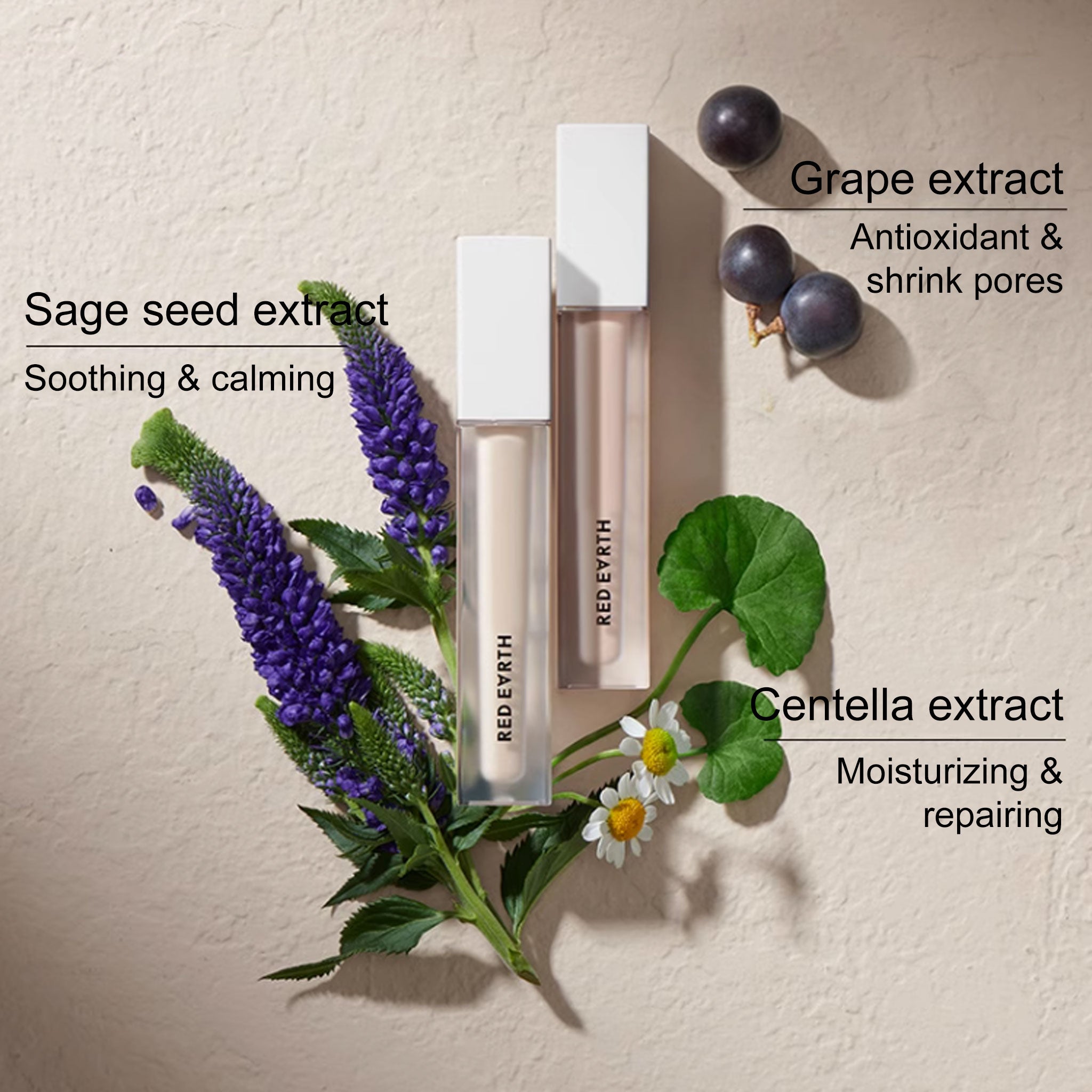 RED EARTH Goss Collaboration Concealer 5.5g