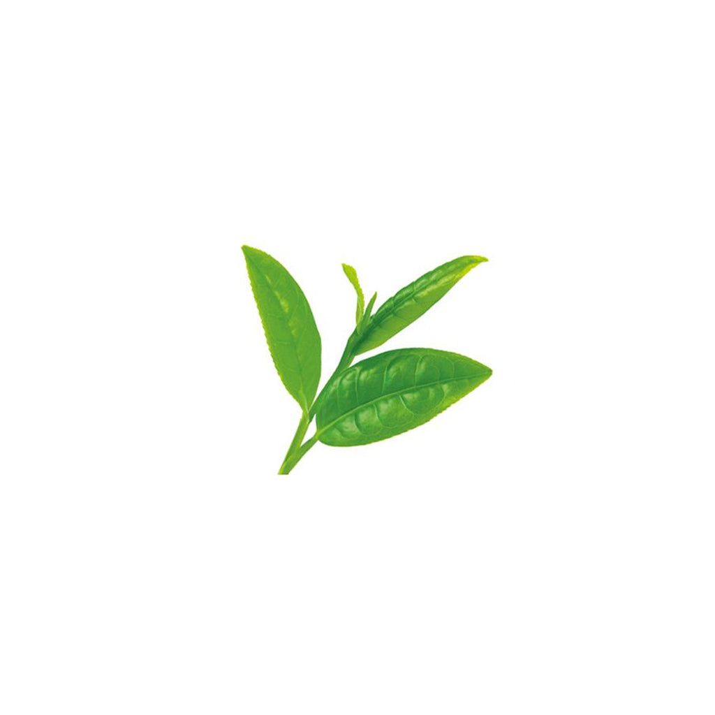Tunemakers Botanical Green Tea Extract 10 ml