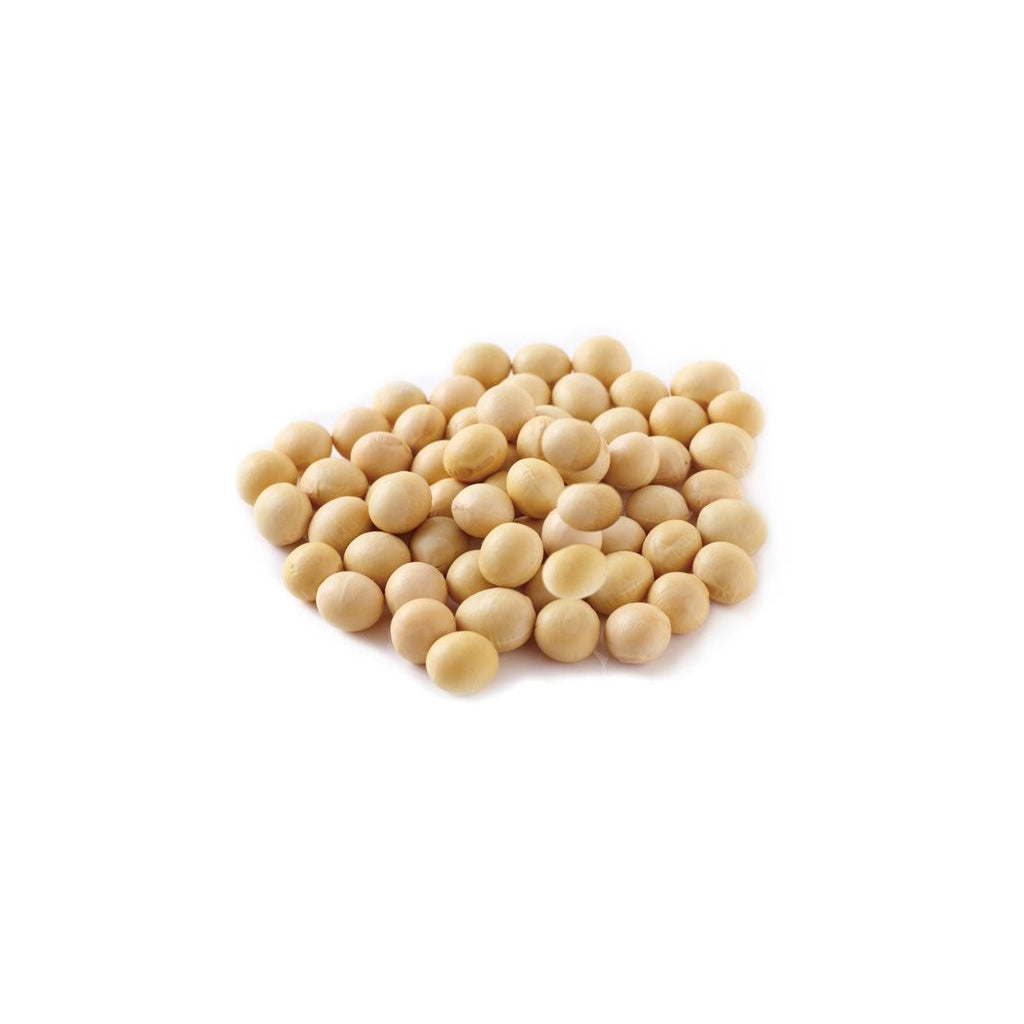 Tunemakers Botanical Soybean Extract 10 ml