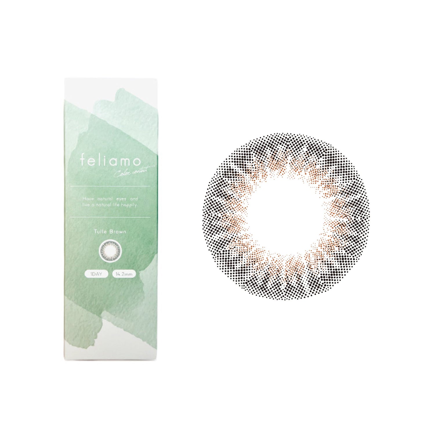 Feliamo 1Day Contact Lenses ±0.00 10pcs